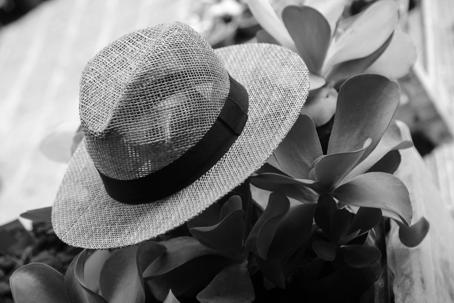 【夏のおすすめ】RILATOがこの夏、本当に着てほしいアイテムをご紹介！